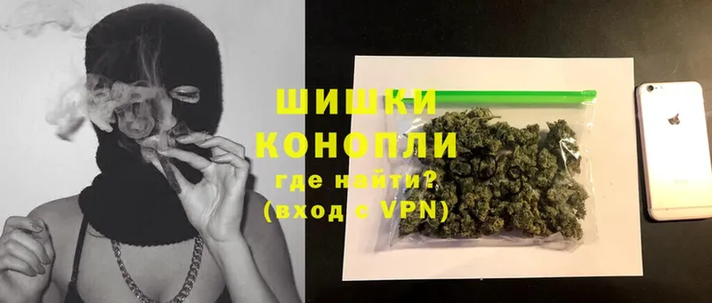 Бошки марихуана Ganja  наркотики  Луза 